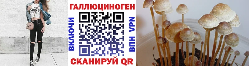 где продают   Нижнекамск  Псилоцибиновые грибы мухоморы 